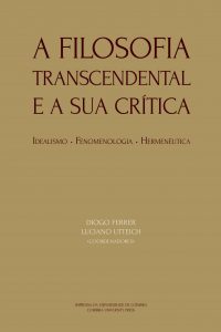 Filosofia Transcendental e a sua crítica: Idealismo, fenomenologia, hermenêutica